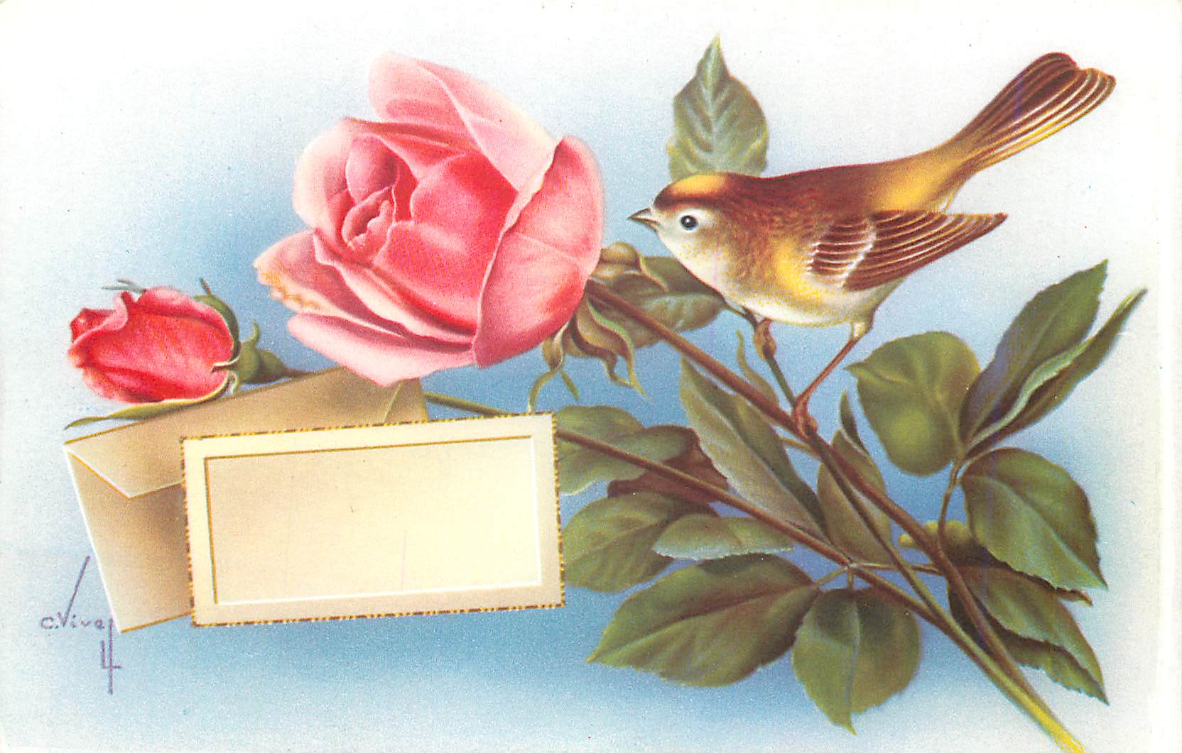 CPM Fleurs Oiseau